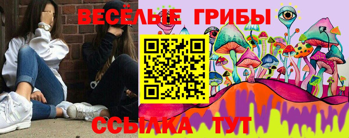 Куйбышев  Псилоцибиновые грибы Cubensis  купить наркотики цена  Вход с VPN 